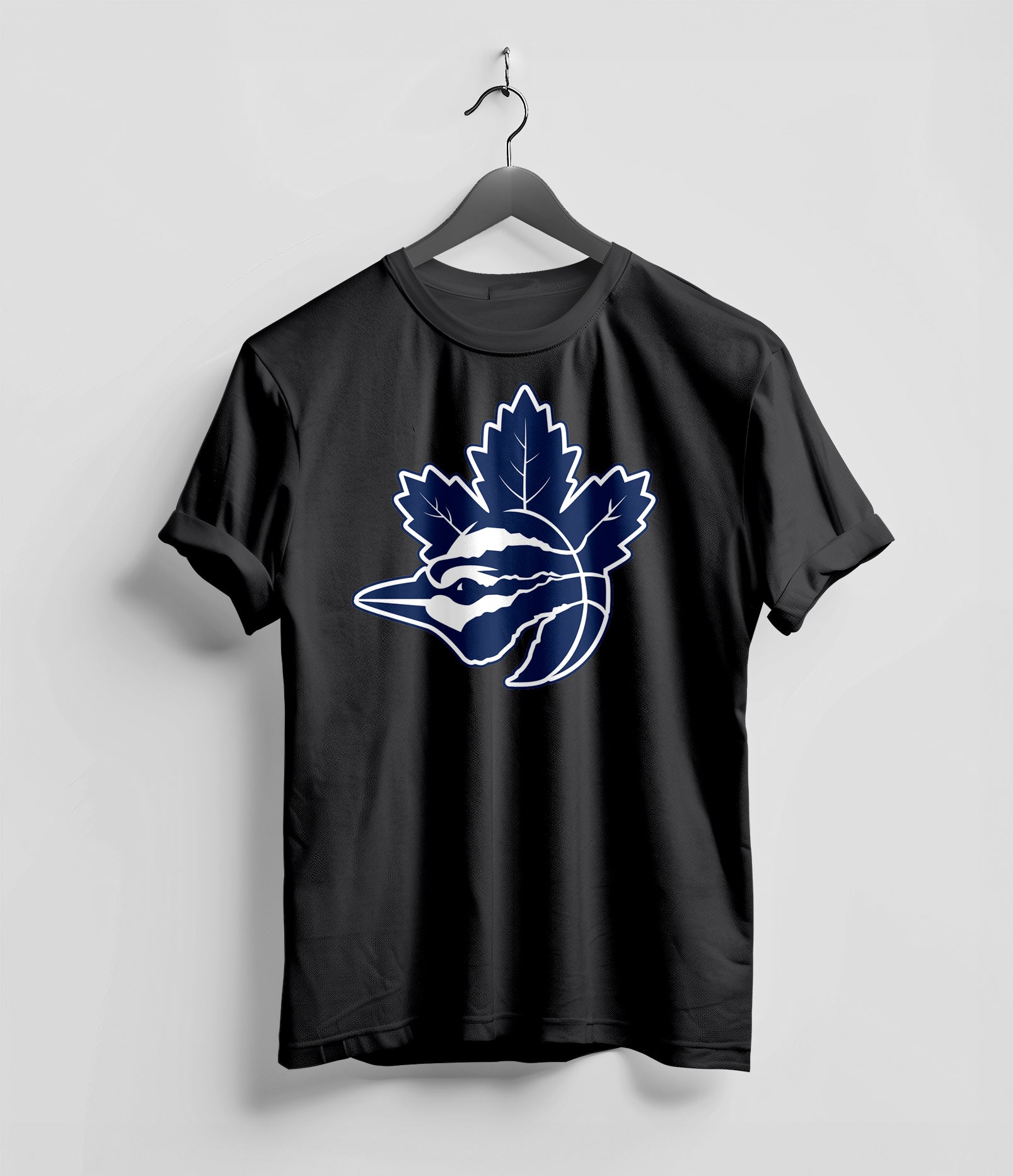 The Toronto Fan